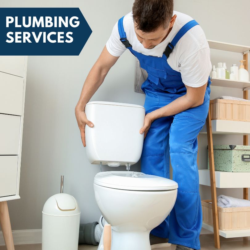 Plumbing Company in Fulton, MI
